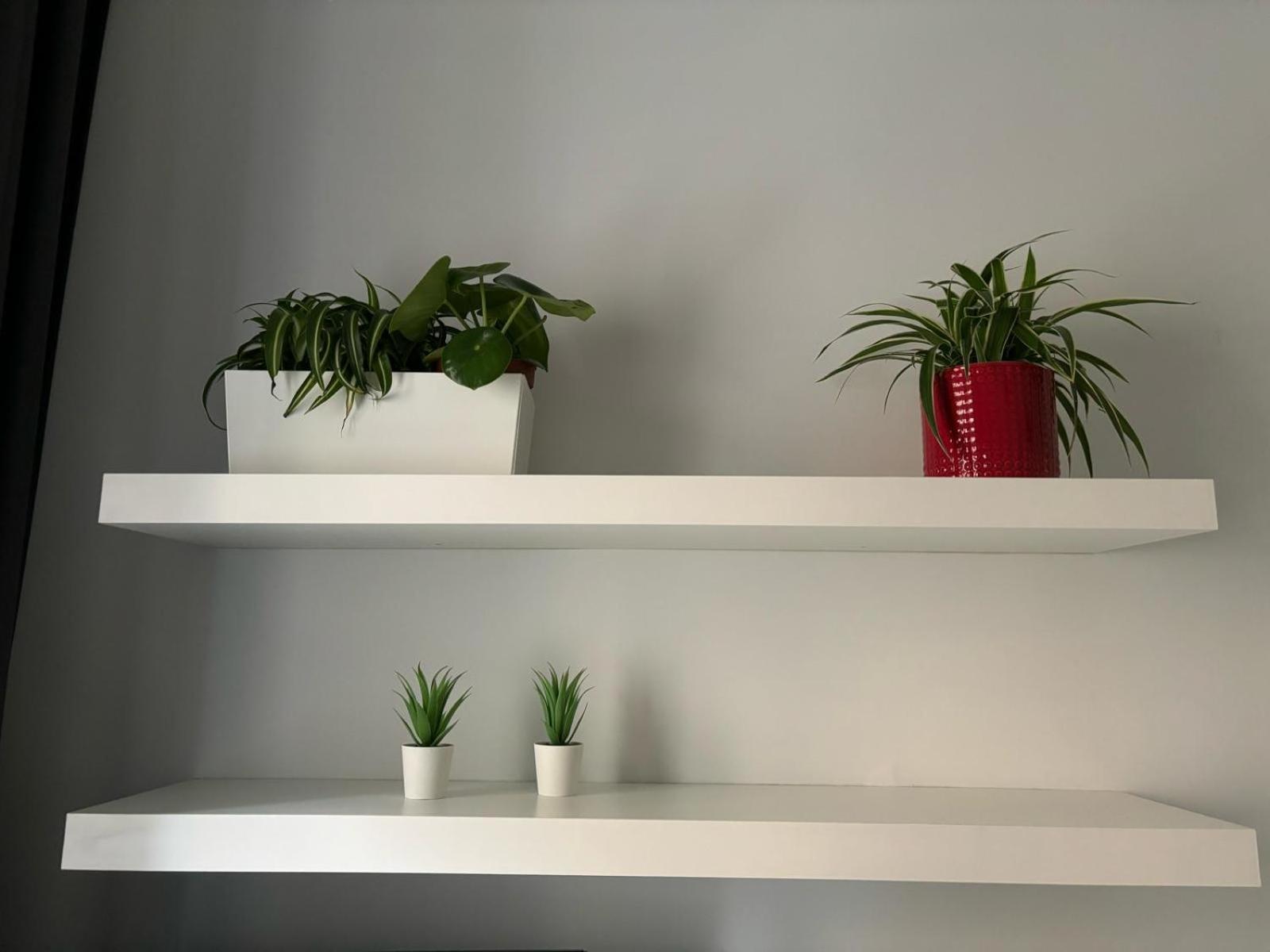 Apartmán Casa Vasari Řím Exteriér fotografie